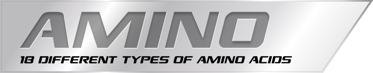 APP Amin Caps banner